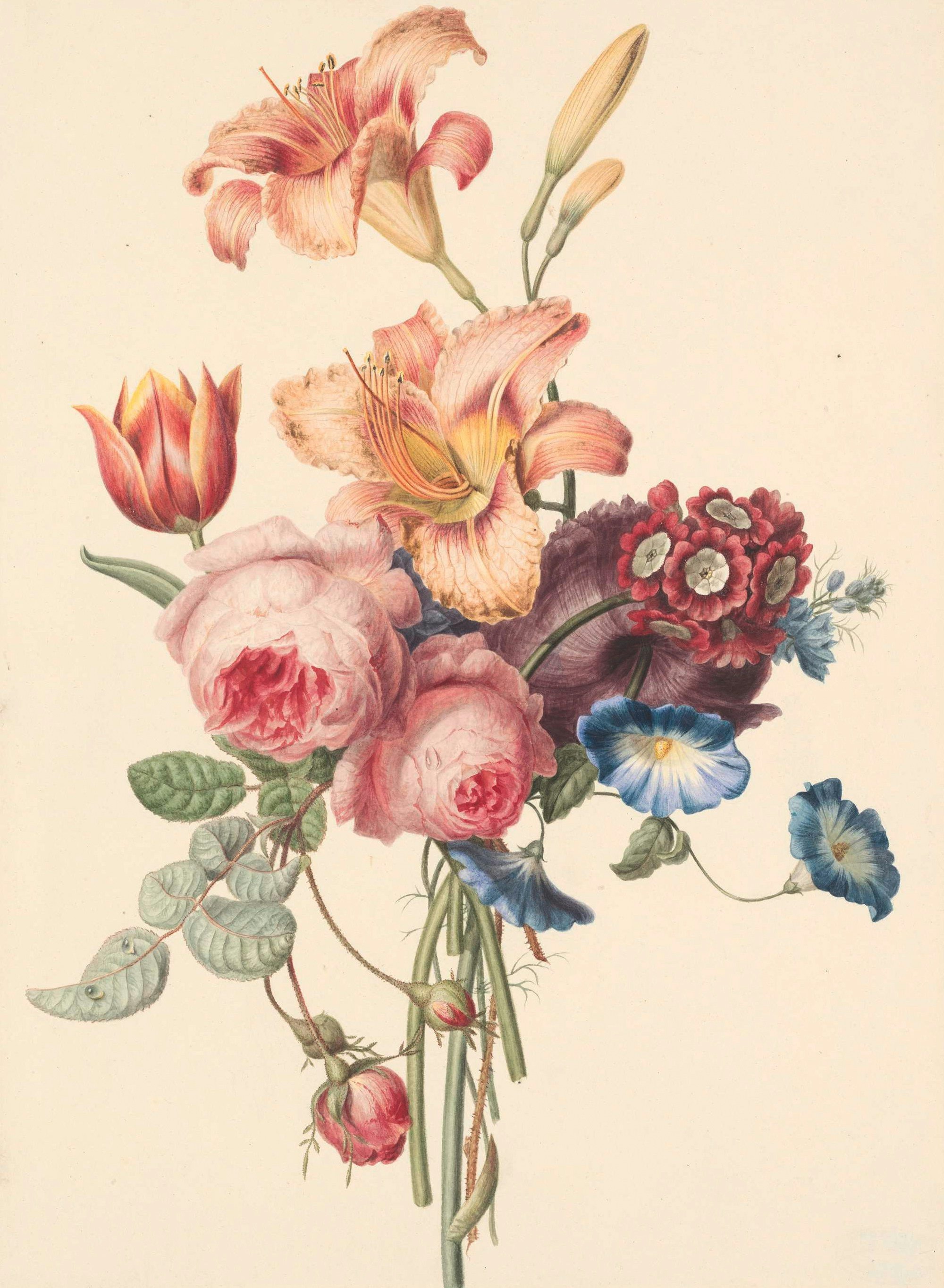 Soft painting of pink and white flowers